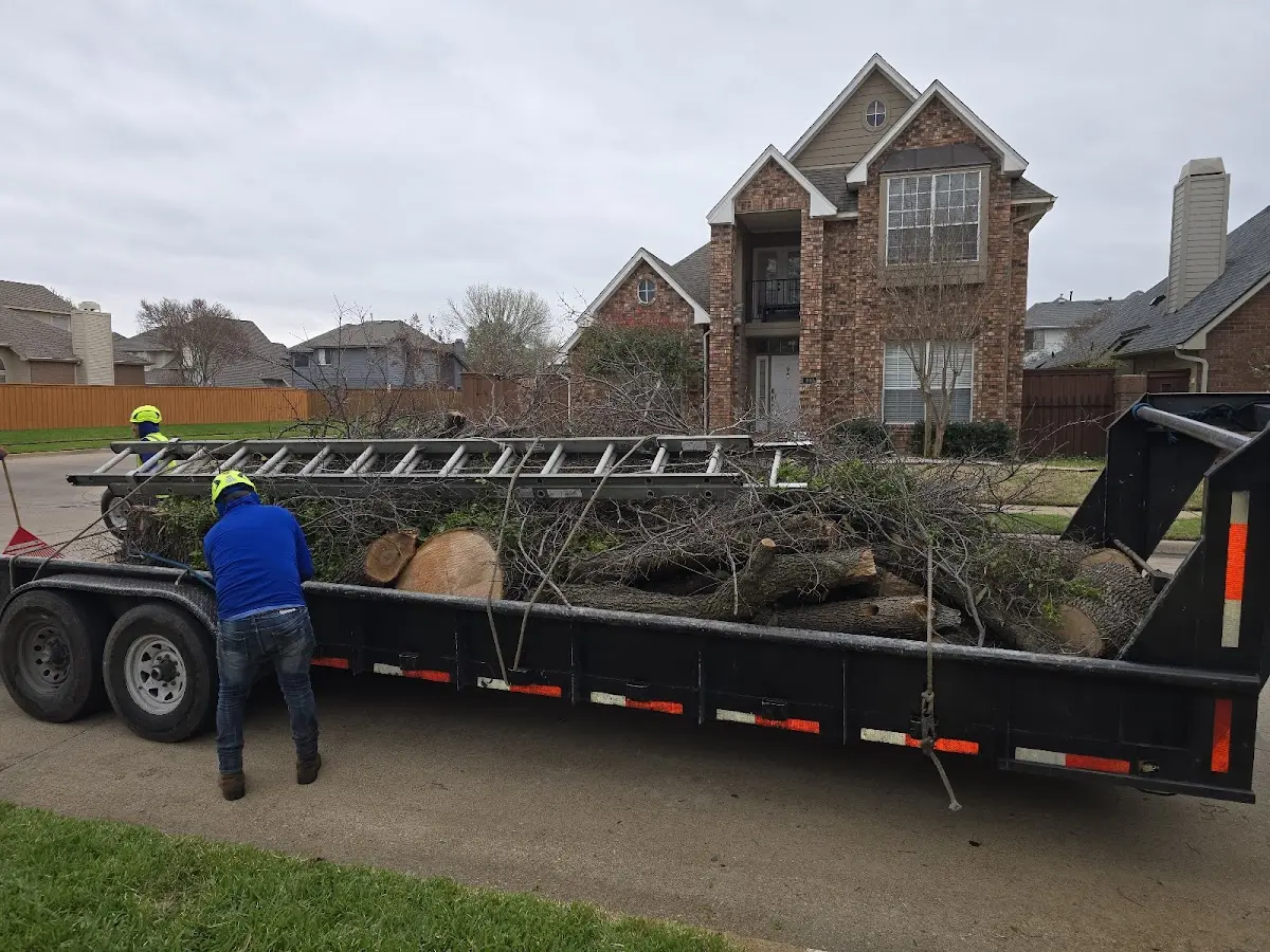 Expert Tree Fertilization with proper safety equipment in Chickasaw